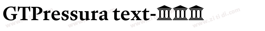 GTPressura text字体转换 GTPressura text字体转换